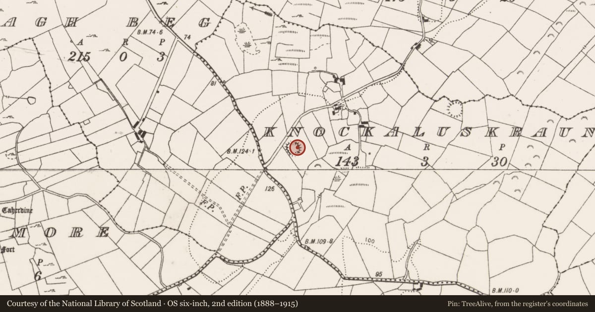 Ordnance Survey six-inch map, 2nd edition (1888–1915) covering the location of Ringfort - rath, Knockaluskraun, County Clare, with a pin at the register's coordinates