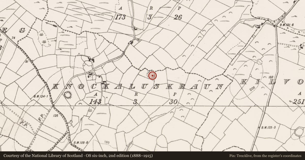 Ordnance Survey six-inch map, 2nd edition (1888–1915) covering the location of Ringfort - rath, Knockaluskraun, County Clare, with a pin at the register's coordinates