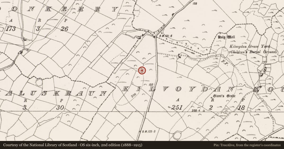 Ordnance Survey six-inch map, 2nd edition (1888–1915) covering the location of Ringfort - rath, Kilvoydan South, County Clare, with a pin at the register's coordinates
