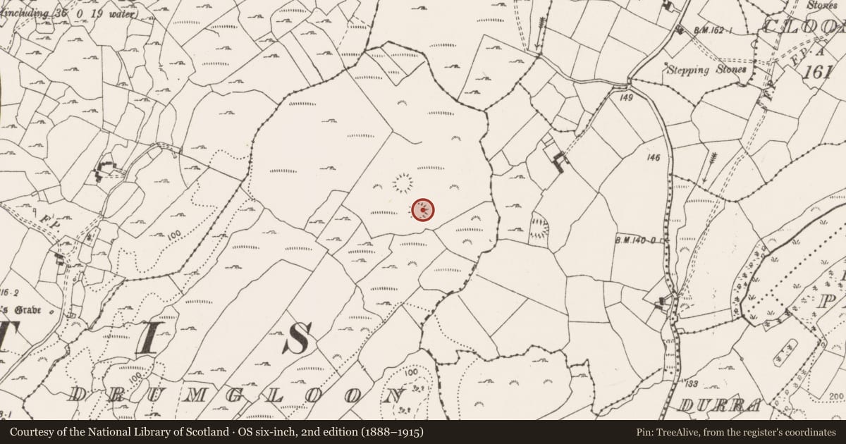 Ordnance Survey six-inch map, 2nd edition (1888–1915) covering the location of Ringfort - cashel, Drumgloon, County Clare, with a pin at the register's coordinates