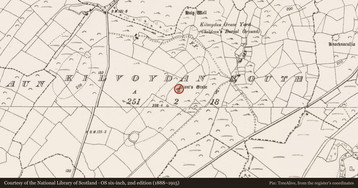 Ordnance Survey six-inch map, 2nd edition (1888–1915) covering the location of Megalithic tomb - wedge tomb, Kilvoydan South, County Clare, with a pin at the register's coordinates