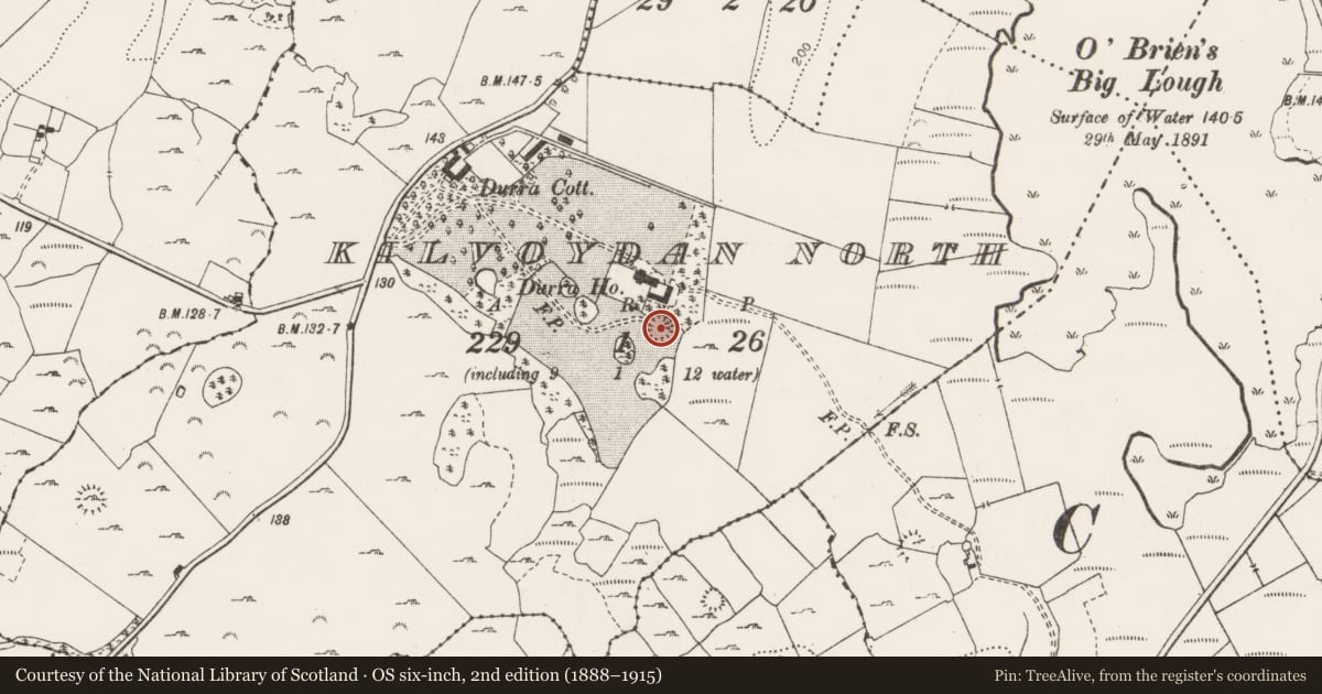 Ordnance Survey six-inch map, 2nd edition (1888–1915) covering the location of Ringfort - rath, Kilvoydan North, County Clare, with a pin at the register's coordinates
