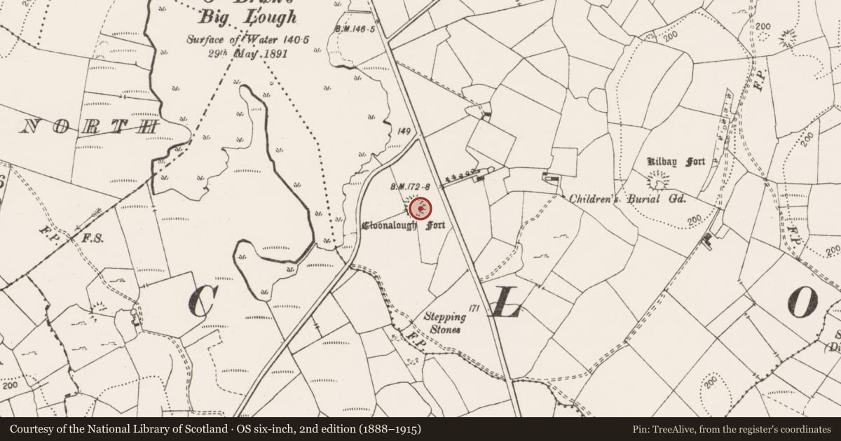 Ordnance Survey six-inch map, 2nd edition (1888–1915) covering the location of Ringfort - rath, Rathclooney, County Clare, with a pin at the register's coordinates