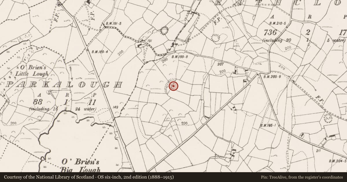 Ordnance Survey six-inch map, 2nd edition (1888–1915) covering the location of Hilltop enclosure, Rathclooney, County Clare, with a pin at the register's coordinates