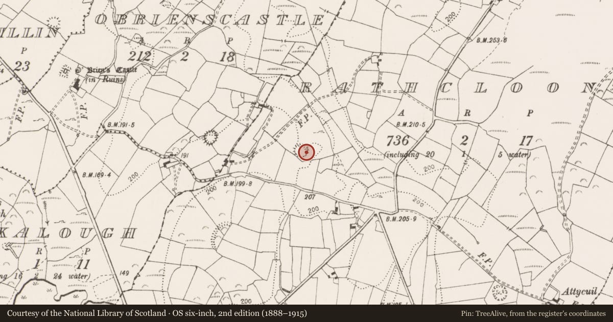Ordnance Survey six-inch map, 2nd edition (1888–1915) covering the location of Ringfort - cashel, Rathclooney, County Clare, with a pin at the register's coordinates