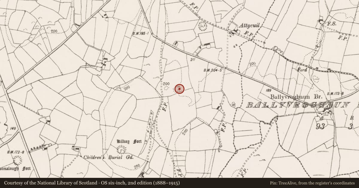 Ordnance Survey six-inch map, 2nd edition (1888–1915) covering the location of Bullaun stone, Rathclooney, County Clare, with a pin at the register's coordinates