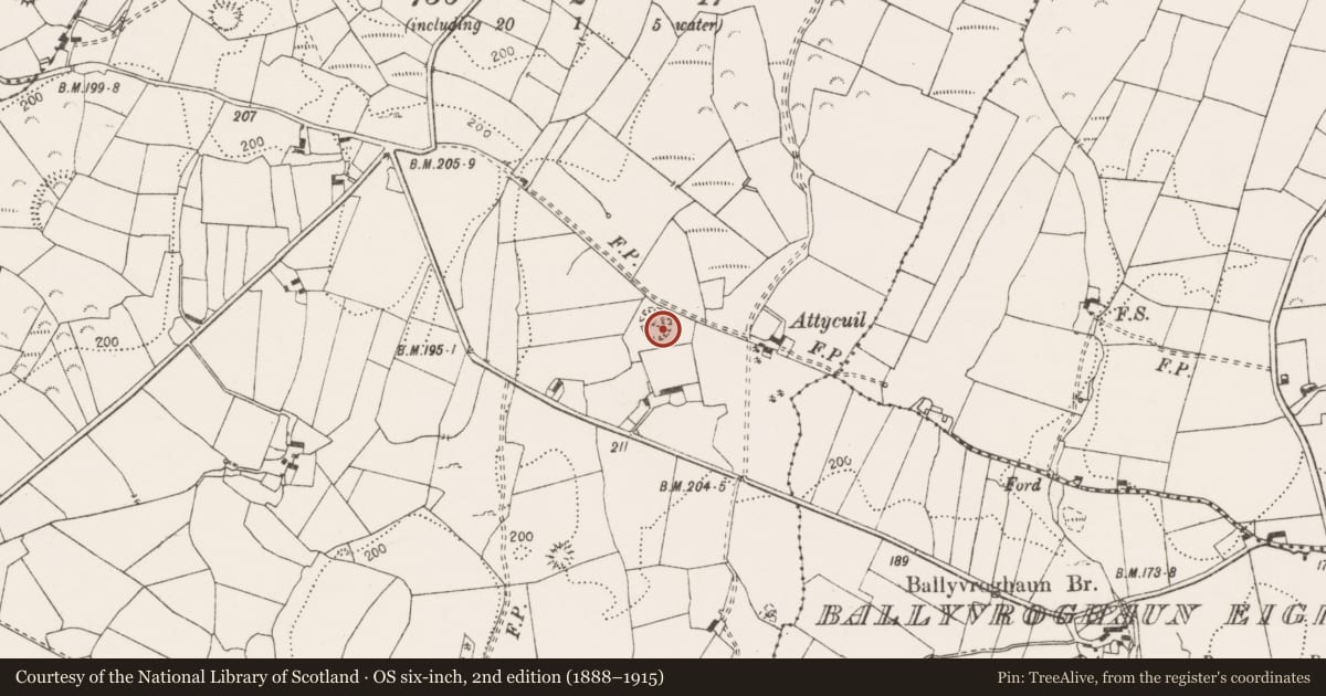 Ordnance Survey six-inch map, 2nd edition (1888–1915) covering the location of Ringfort - rath, Rathclooney, County Clare, with a pin at the register's coordinates