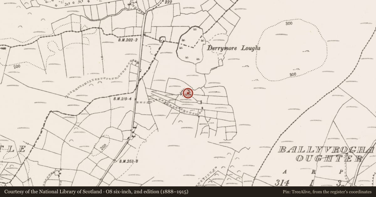 Ordnance Survey six-inch map, 2nd edition (1888–1915) covering the location of Ringfort - cashel, Rathclooney, County Clare, with a pin at the register's coordinates