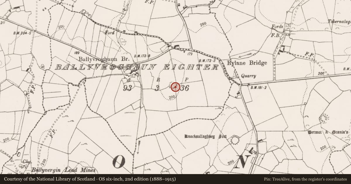 Ordnance Survey six-inch map, 2nd edition (1888–1915) covering the location of Ringfort - rath, Ballyvroghaun Eighter, County Clare, with a pin at the register's coordinates