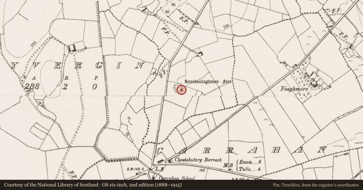 Ordnance Survey six-inch map, 2nd edition (1888–1915) covering the location of Ringfort - rath, Rylane, County Clare, with a pin at the register's coordinates