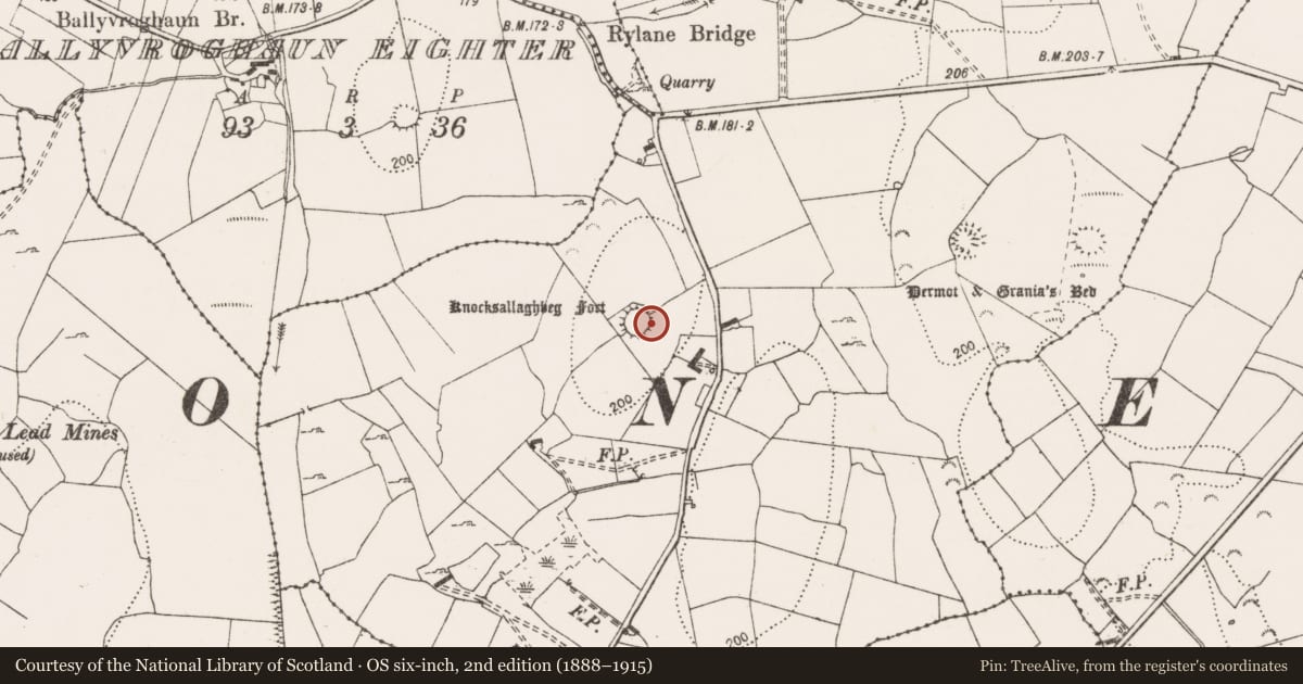 Ordnance Survey six-inch map, 2nd edition (1888–1915) covering the location of Ringfort - rath, Rylane, County Clare, with a pin at the register's coordinates