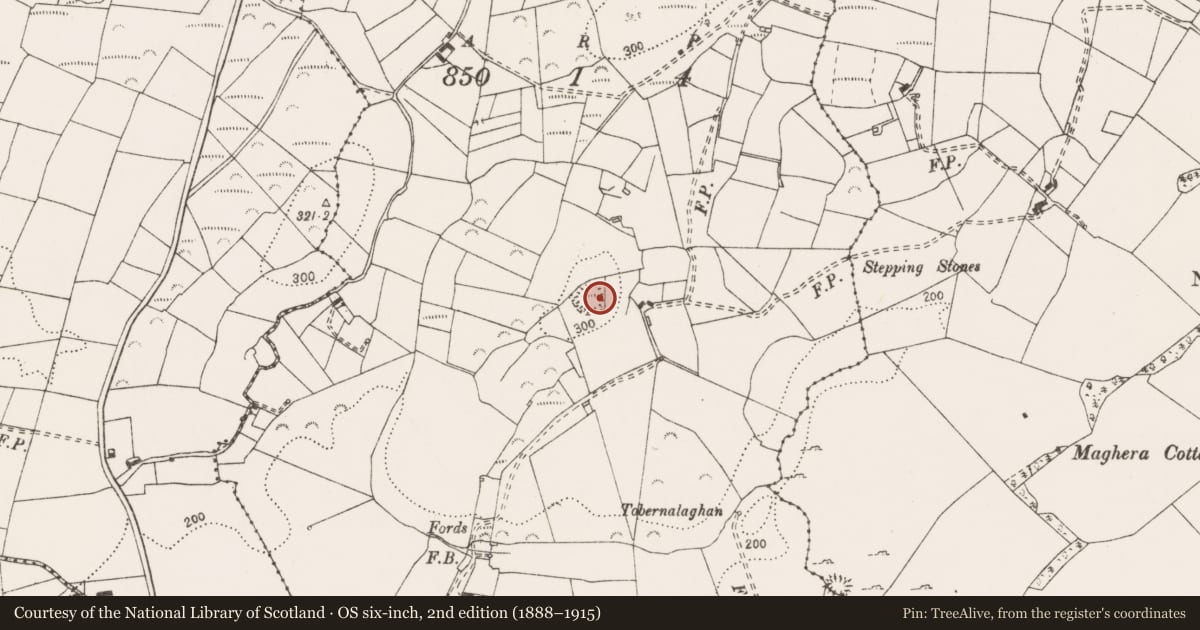 Ordnance Survey six-inch map, 2nd edition (1888–1915) covering the location of Ringfort - rath, Rylane, County Clare, with a pin at the register's coordinates
