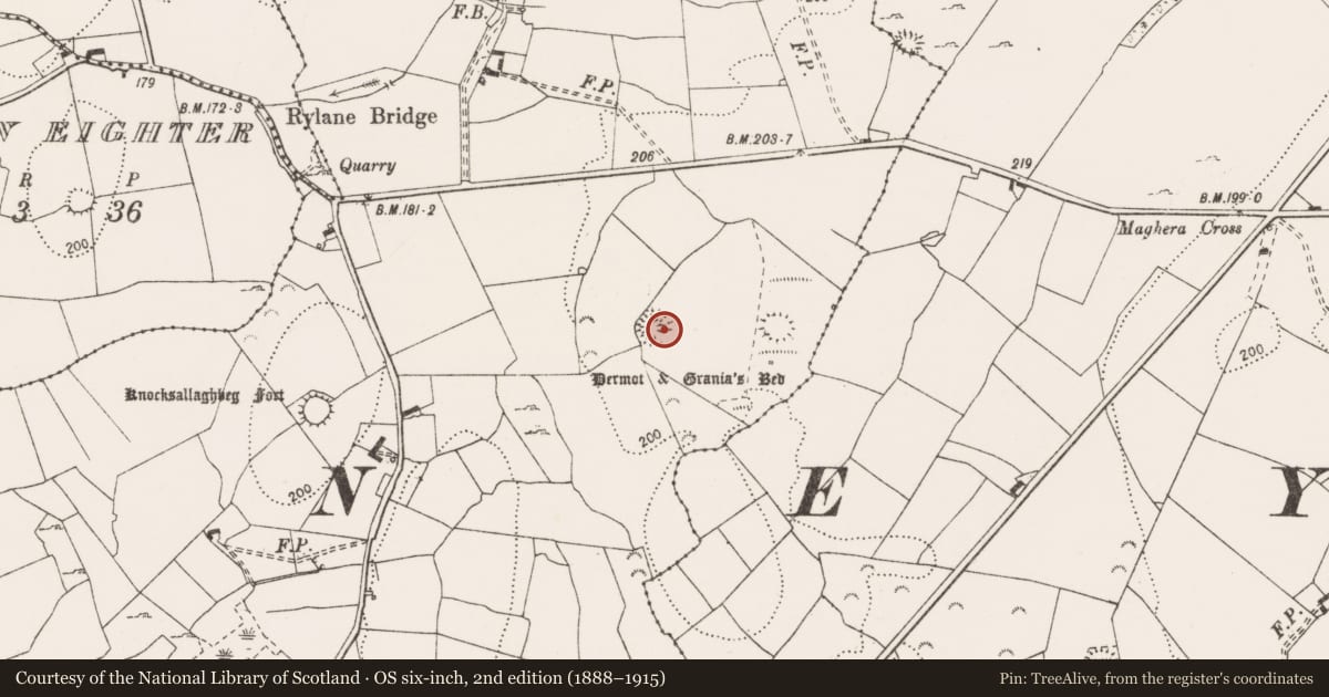 Ordnance Survey six-inch map, 2nd edition (1888–1915) covering the location of Ringfort - rath, Rylane, County Clare, with a pin at the register's coordinates
