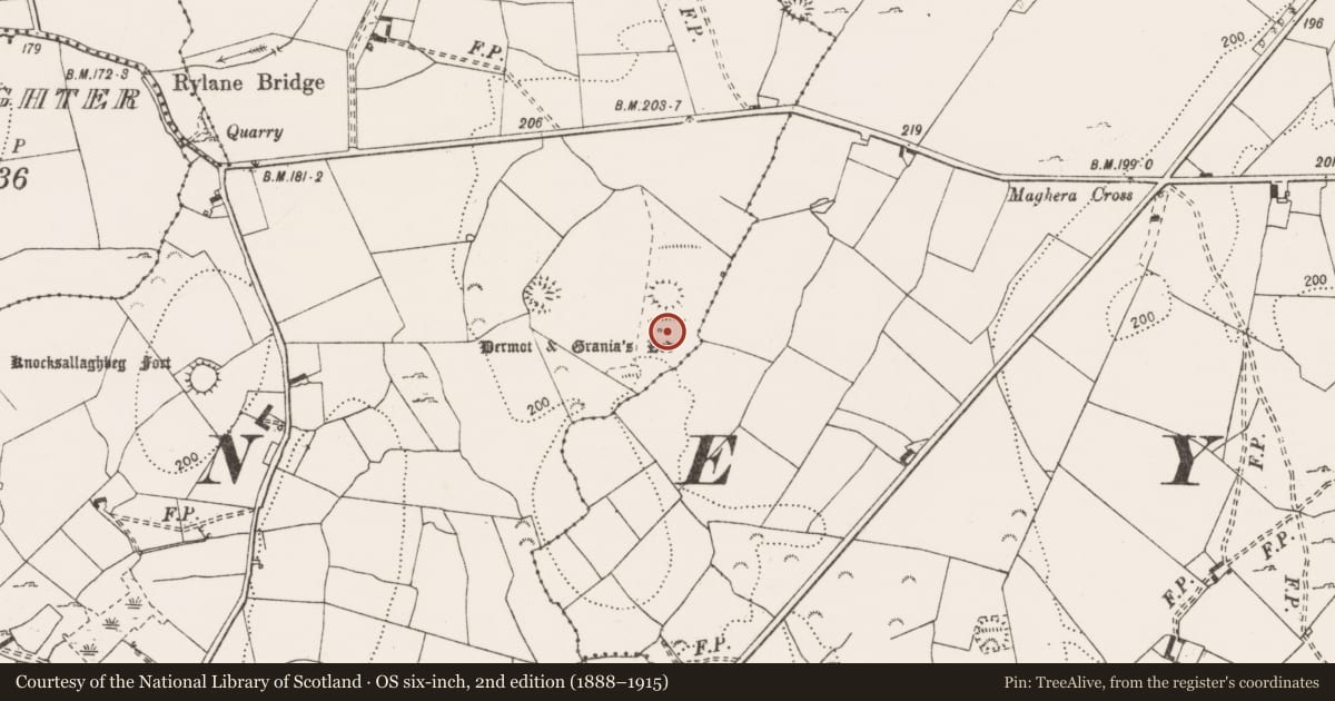 Ordnance Survey six-inch map, 2nd edition (1888–1915) covering the location of Megalithic tomb - wedge tomb, Rylane, County Clare, with a pin at the register's coordinates