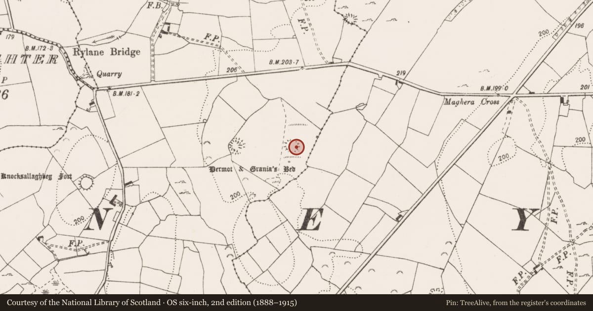 Ordnance Survey six-inch map, 2nd edition (1888–1915) covering the location of Ringfort - rath, Rylane, County Clare, with a pin at the register's coordinates
