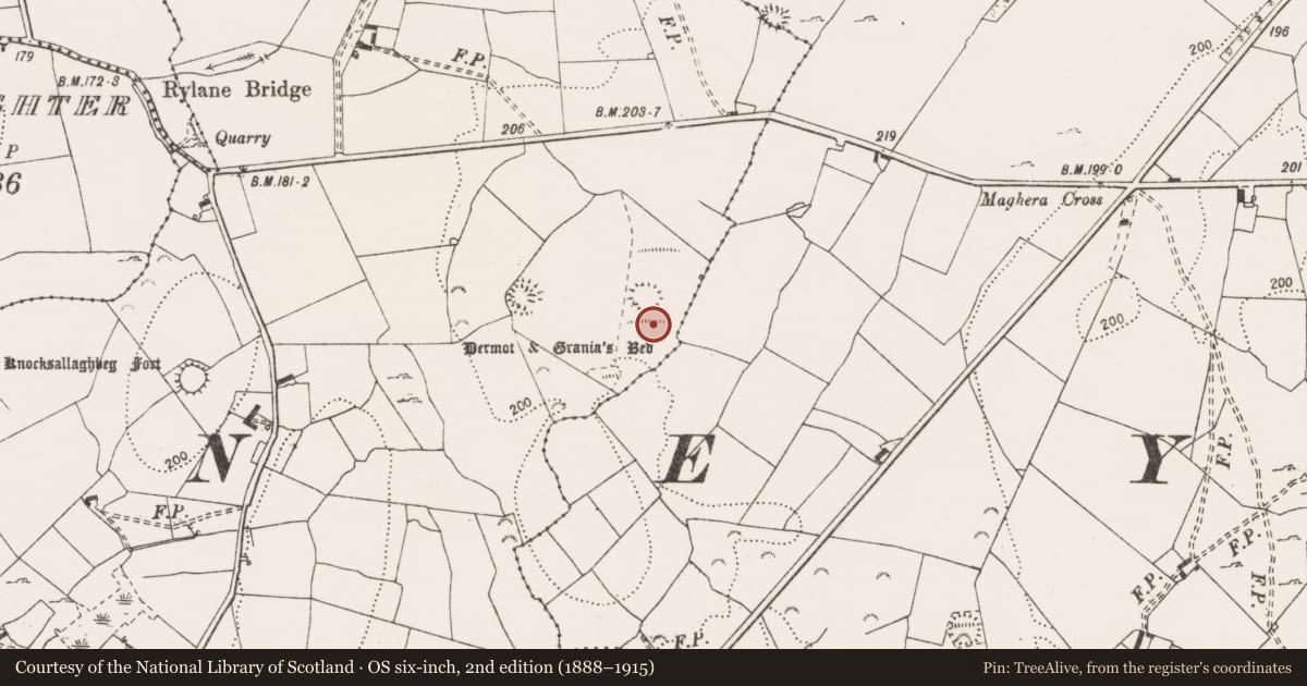 Ordnance Survey six-inch map, 2nd edition (1888–1915) covering the location of Megalithic tomb - wedge tomb, Rylane, County Clare, with a pin at the register's coordinates