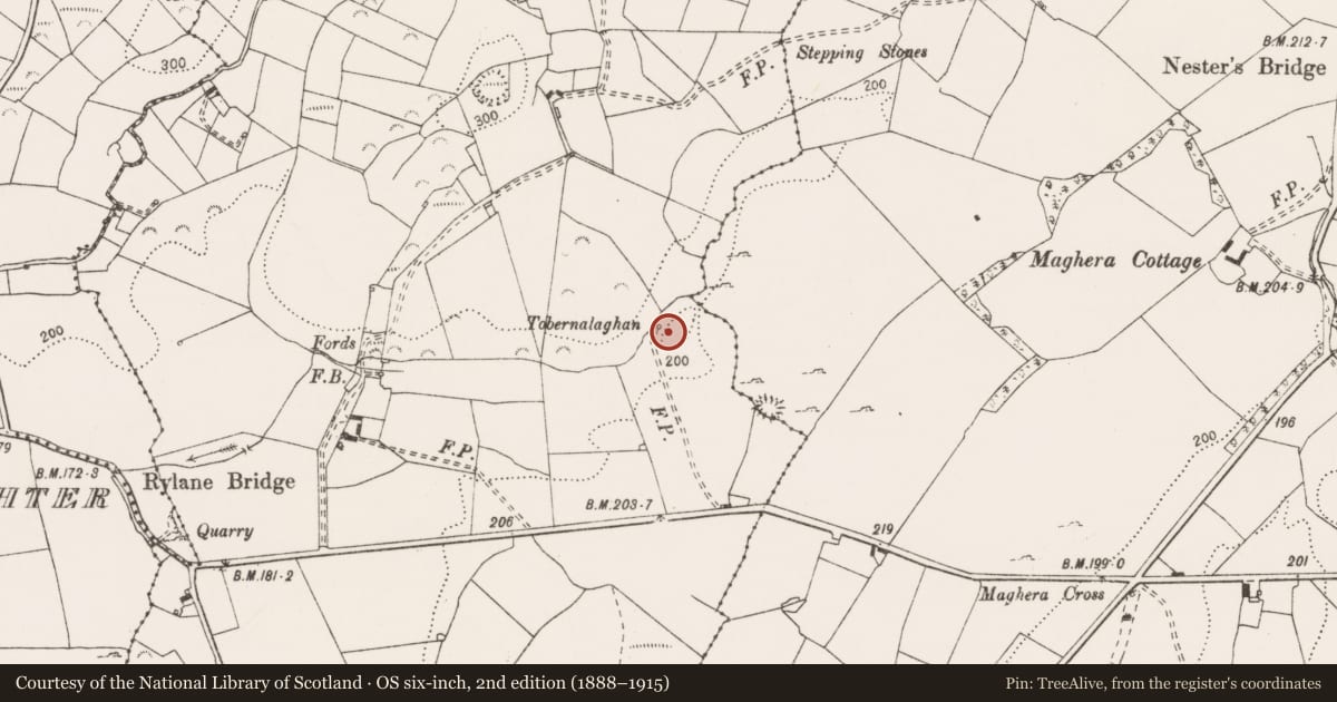 Ordnance Survey six-inch map, 2nd edition (1888–1915) covering the location of Castle - unclassified, Rylane, County Clare, with a pin at the register's coordinates