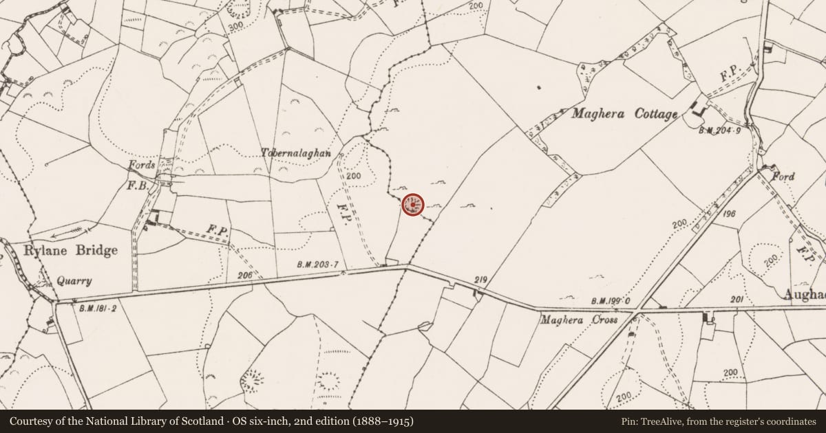 Ordnance Survey six-inch map, 2nd edition (1888–1915) covering the location of Earthwork, Maghera, Rylane, County Clare, with a pin at the register's coordinates