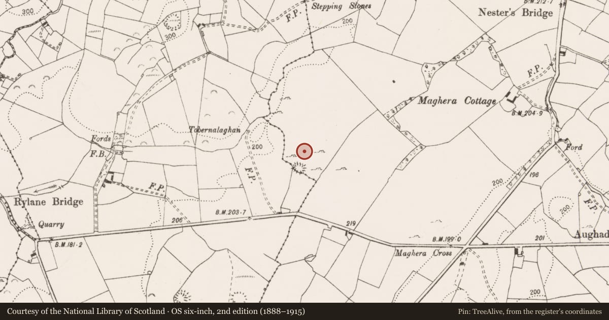 Ordnance Survey six-inch map, 2nd edition (1888–1915) covering the location of Ringfort - cashel, Maghera, County Clare, with a pin at the register's coordinates