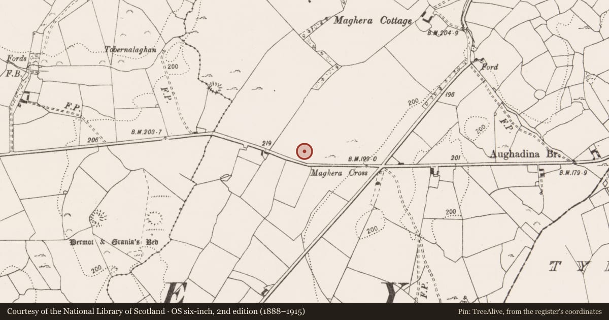 Ordnance Survey six-inch map, 2nd edition (1888–1915) covering the location of Ringfort - cashel, Maghera, County Clare, with a pin at the register's coordinates