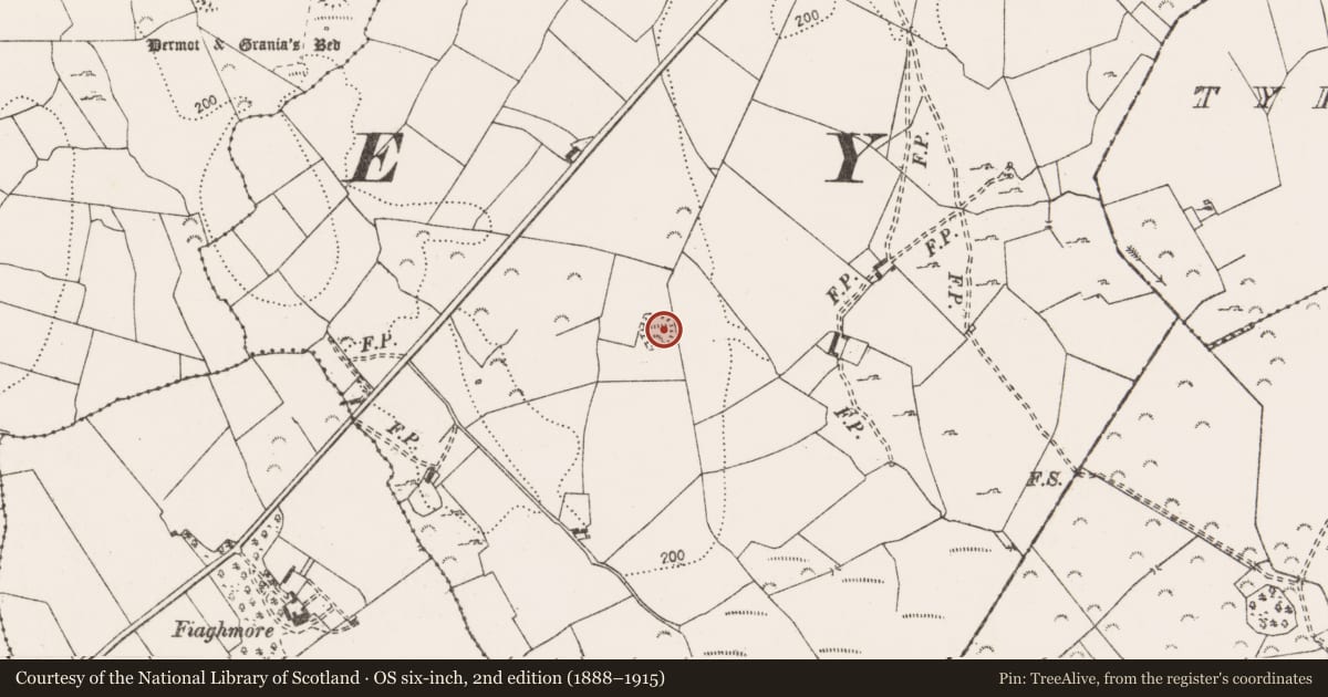 Ordnance Survey six-inch map, 2nd edition (1888–1915) covering the location of Ringfort - rath, Maghera, County Clare, with a pin at the register's coordinates