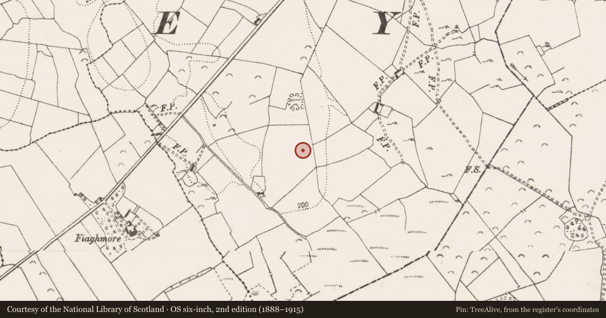 Ordnance Survey six-inch map, 2nd edition (1888–1915) covering the location of Ringfort - rath, Maghera, County Clare, with a pin at the register's coordinates