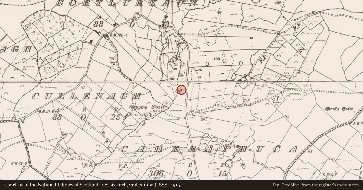Ordnance Survey six-inch map, 2nd edition (1888–1915) covering the location of Fulacht fia, Caheraphuca, County Clare, with a pin at the register's coordinates