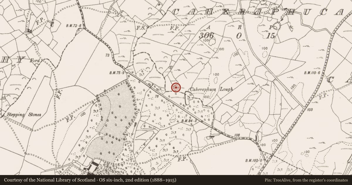 Ordnance Survey six-inch map, 2nd edition (1888–1915) covering the location of Fulacht fia, Caheraphuca, County Clare, with a pin at the register's coordinates