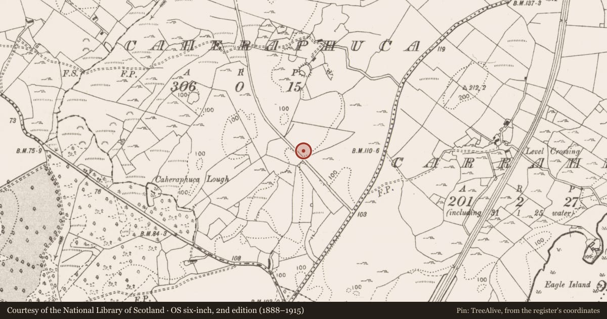 Ordnance Survey six-inch map, 2nd edition (1888–1915) covering the location of Fulacht fia, Caheraphuca, County Clare, with a pin at the register's coordinates