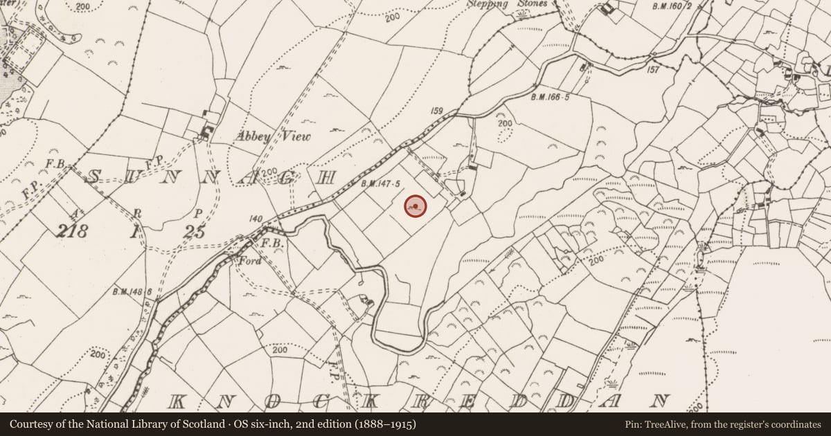 Ordnance Survey six-inch map, 2nd edition (1888–1915) covering the location of Standing stone, Knockreddan, County Clare, with a pin at the register's coordinates