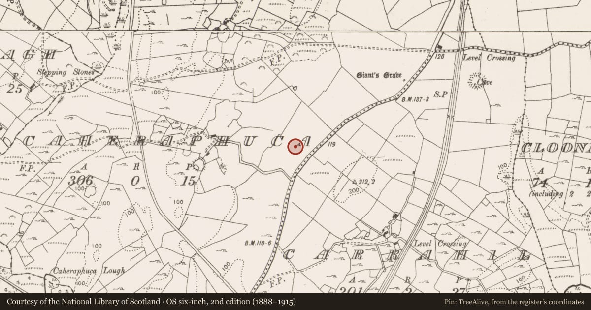 Ordnance Survey six-inch map, 2nd edition (1888–1915) covering the location of Excavation - miscellaneous, Caheraphuca, County Clare, with a pin at the register's coordinates
