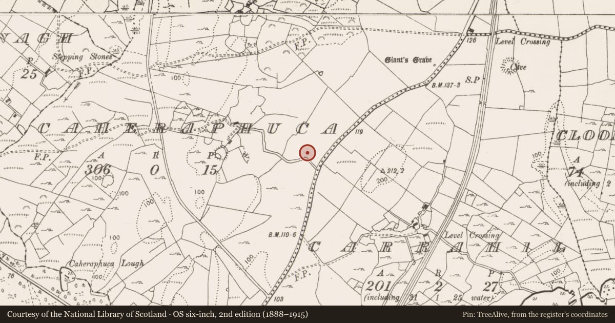 Ordnance Survey six-inch map, 2nd edition (1888–1915) covering the location of Fulacht fia, Caheraphuca, County Clare, with a pin at the register's coordinates