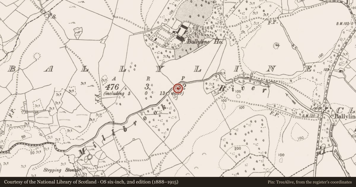 Ordnance Survey six-inch map, 2nd edition (1888–1915) covering the location of Fulacht fia, Ballyline, County Clare, with a pin at the register's coordinates