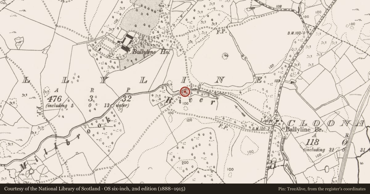 Ordnance Survey six-inch map, 2nd edition (1888–1915) covering the location of Water mill - unclassified, Ballyline, County Clare, with a pin at the register's coordinates