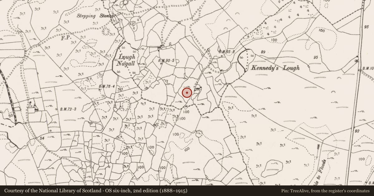 Ordnance Survey six-inch map, 2nd edition (1888–1915) covering the location of Fulacht fia, Ballyline, County Clare, with a pin at the register's coordinates