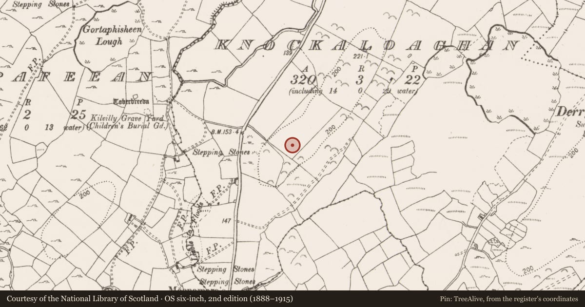 Ordnance Survey six-inch map, 2nd edition (1888–1915) covering the location of Barrow - ring-barrow, Knockaloaghan, County Clare, with a pin at the register's coordinates