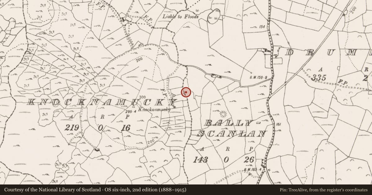 Ordnance Survey six-inch map, 2nd edition (1888–1915) covering the location of Fulacht fia, Ballyscanlan, County Clare, with a pin at the register's coordinates