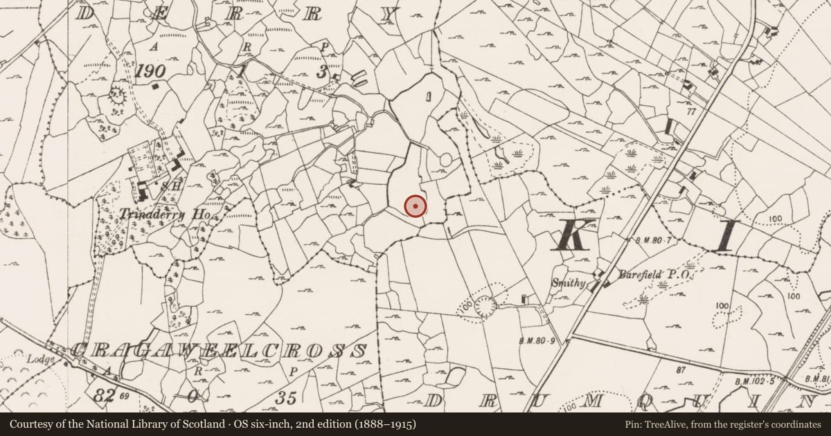 Ordnance Survey six-inch map, 2nd edition (1888–1915) covering the location of Fulacht fia, Derry, County Clare, with a pin at the register's coordinates