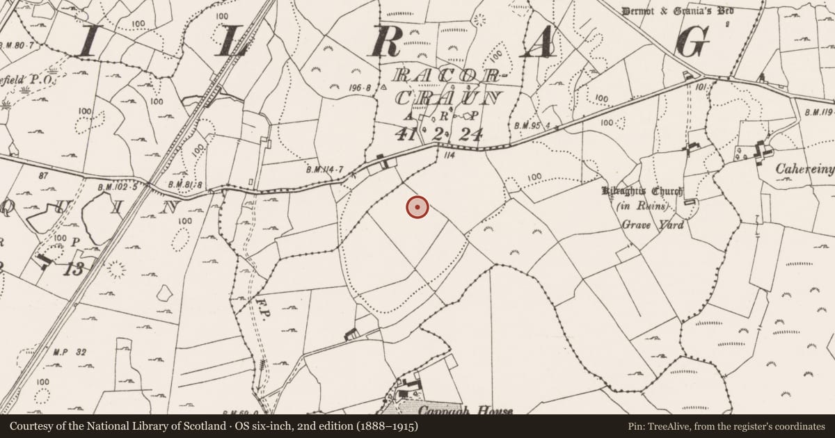 Ordnance Survey six-inch map, 2nd edition (1888–1915) covering the location of Excavation - miscellaneous, Ballymaconna, County Clare, with a pin at the register's coordinates