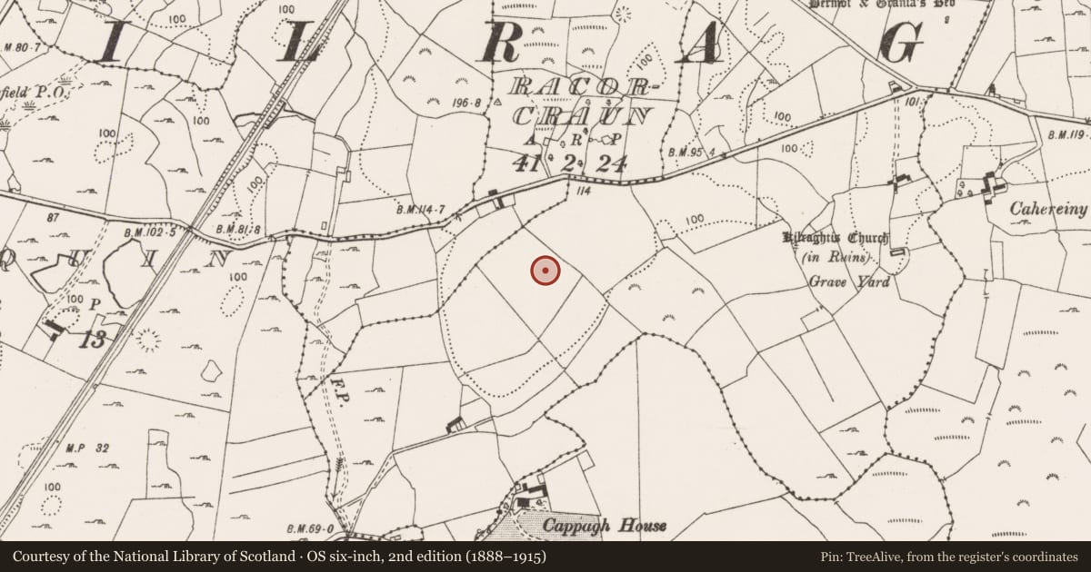Ordnance Survey six-inch map, 2nd edition (1888–1915) covering the location of Excavation - miscellaneous, Ballymaconna, County Clare, with a pin at the register's coordinates