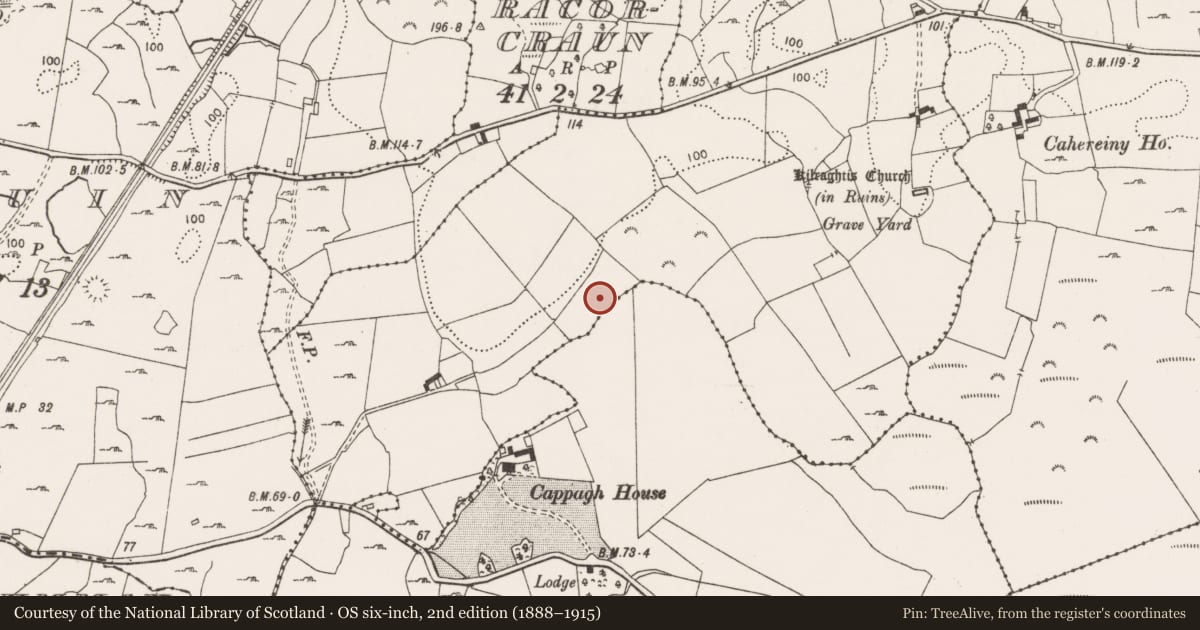 Ordnance Survey six-inch map, 2nd edition (1888–1915) covering the location of Burnt mound, Ballymaconna, County Clare, with a pin at the register's coordinates