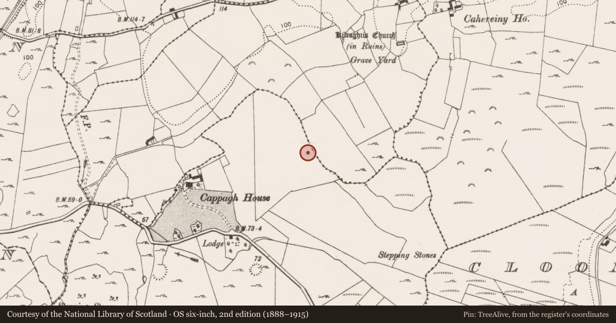 Ordnance Survey six-inch map, 2nd edition (1888–1915) covering the location of Burnt mound, Cappagh Beg, County Clare, with a pin at the register's coordinates