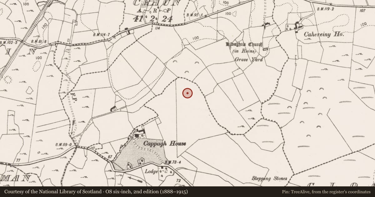 Ordnance Survey six-inch map, 2nd edition (1888–1915) covering the location of Burnt mound, Cappagh Beg, County Clare, with a pin at the register's coordinates