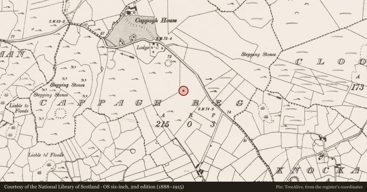 Ordnance Survey six-inch map, 2nd edition (1888–1915) covering the location of Excavation - miscellaneous, Cappagh Beg, County Clare, with a pin at the register's coordinates