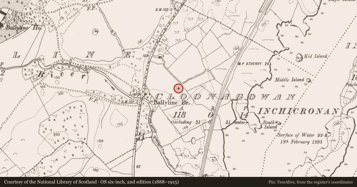 Ordnance Survey six-inch map, 2nd edition (1888–1915) covering the location of Excavation - miscellaneous, Cloonagowan, County Clare, with a pin at the register's coordinates