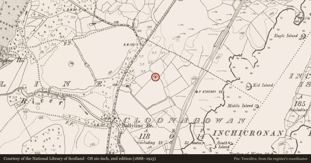 Ordnance Survey six-inch map, 2nd edition (1888–1915) covering the location of Excavation - miscellaneous, Cloonagowan, County Clare, with a pin at the register's coordinates