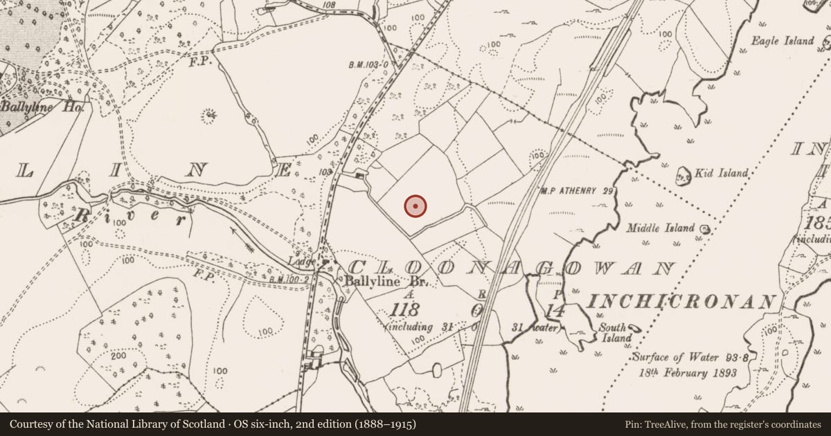 Ordnance Survey six-inch map, 2nd edition (1888–1915) covering the location of Cremation pit, Cloonagowan, County Clare, with a pin at the register's coordinates