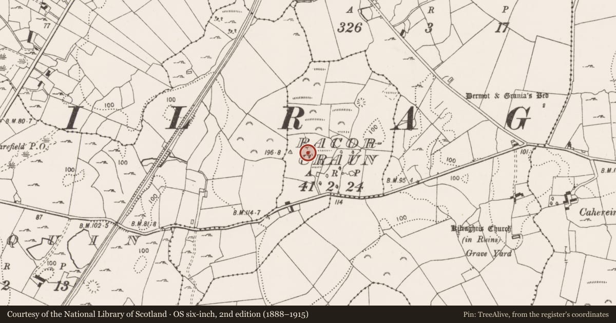 Ordnance Survey six-inch map, 2nd edition (1888–1915) covering the location of Pit-burial, Racorcraun, County Clare, with a pin at the register's coordinates