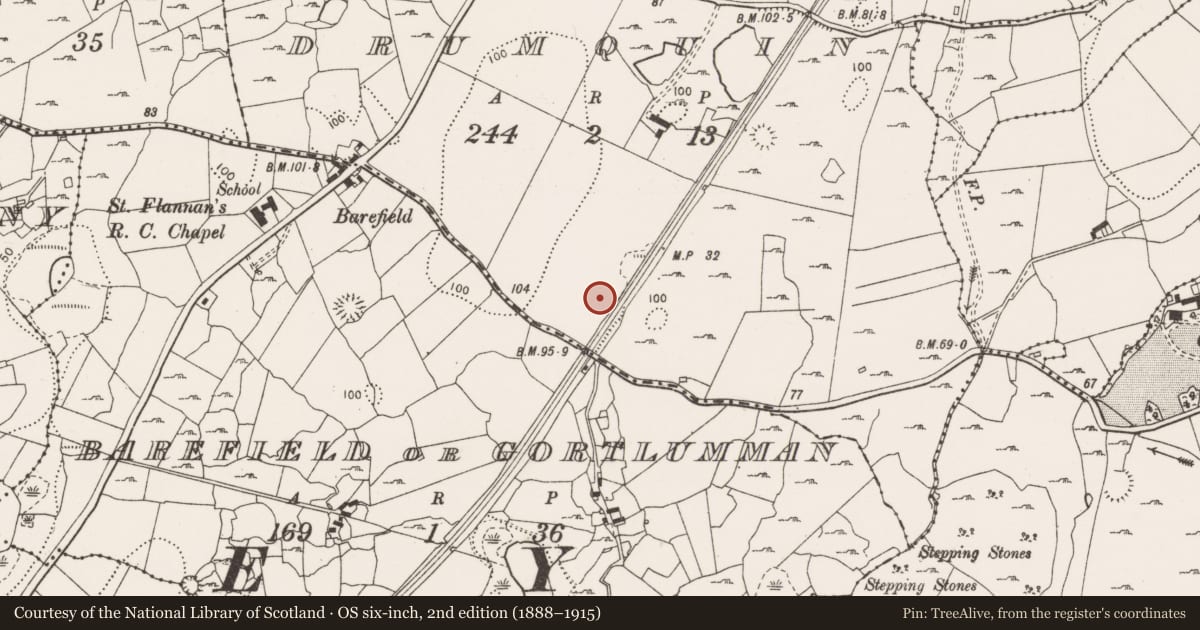 Ordnance Survey six-inch map, 2nd edition (1888–1915) covering the location of Charcoal-making site, Drumquin, County Clare, with a pin at the register's coordinates