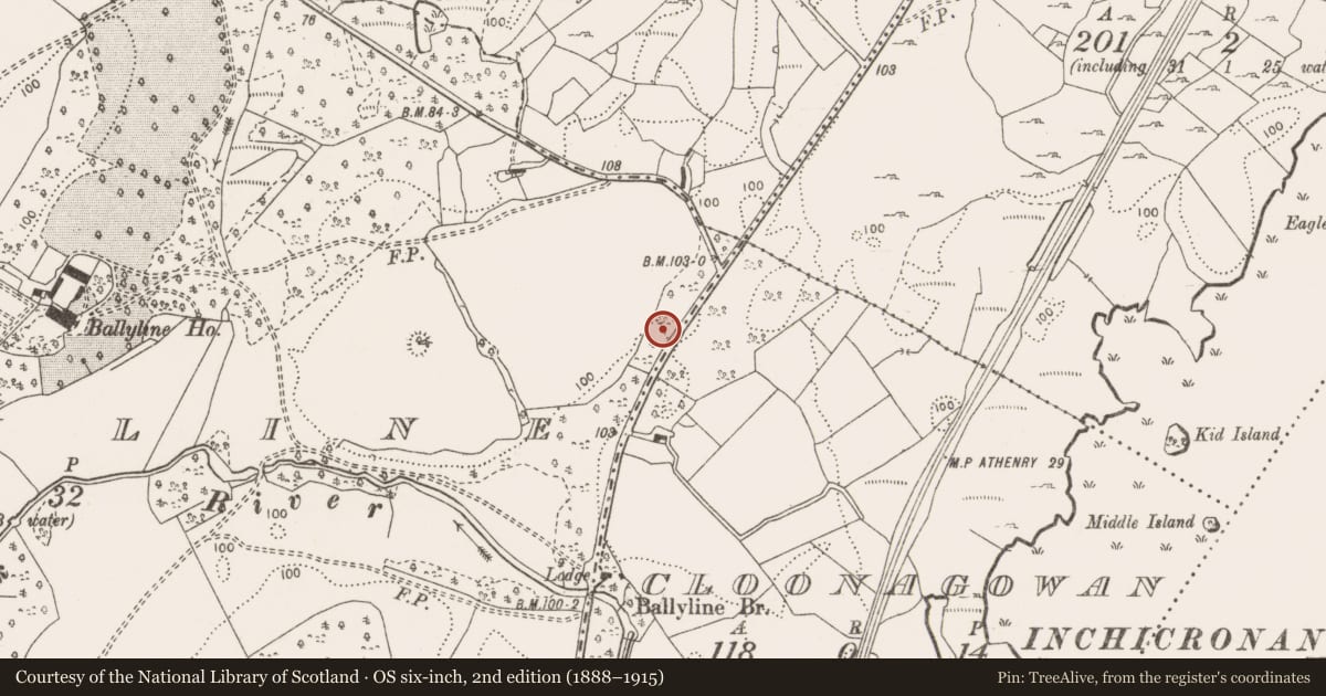 Ordnance Survey six-inch map, 2nd edition (1888–1915) covering the location of Fulacht fia, Ballyline, County Clare, with a pin at the register's coordinates